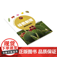 绿色刺猬——植物天堂大揭秘一