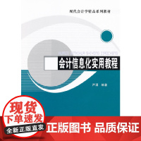 会计信息化实用教程(现代会计学精品系列教材)