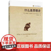 什么是思想史 历史学的实践丛书