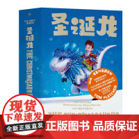 圣诞龙 汤姆·弗莱彻奇遇系列