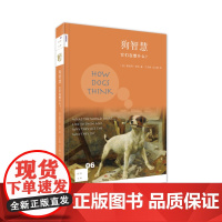 新知文库06·狗智慧:它们在想什么? 斯坦利·科伦(Stanley Coren) 生活读书新知三联书店 正版书籍