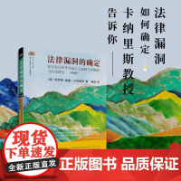 []法律漏洞的确定 法官在法律外续造法之前提与界限的方法论研究 第2版 实证法违反计划不完整性 北京大学出版社 正版书籍