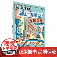 初中几何辅助线模型专题训练