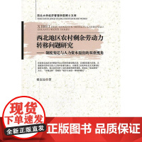 西北地区农村剩余劳动力转移问题研究——制度变迁与人力资本溢出的双重视角
