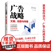 广告战略:文案、创意与传播