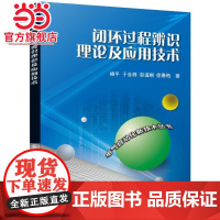闭环过程辨识理论及应用技术