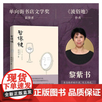 暂停键 黎紫书 人民文学出版社 正版书籍