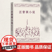 汪曾祺小说 汪曾祺 人民文学出版社 正版书籍