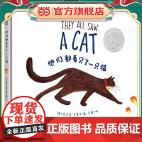 正版童书 他们都看见了一只猫奇想国童眸童书They All Saw a Cat 儿童绘本故事书 2017年凯迪克奖绘本