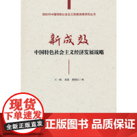新成效:中国特色社会主义经济发展战略