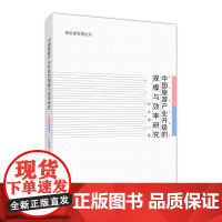 中国旅游产业升级的规模与效率研究