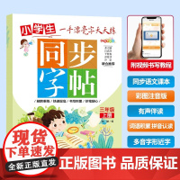 同步字帖-三年级上册