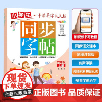 同步字帖-六年级上册