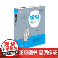 蟑螂博物学(自然观察丛书) 朱耀沂 著 商务印书馆 正版书籍