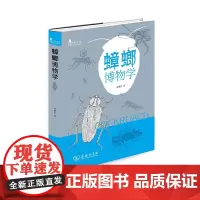 蟑螂博物学(自然观察丛书) 朱耀沂 著 商务印书馆 正版书籍
