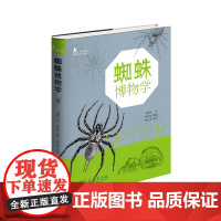 蜘蛛博物学(自然观察丛书) 朱耀沂 著 黄世富 绘图 商务印书馆 正版书籍