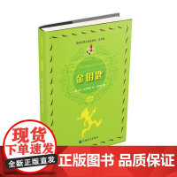 金钥匙(大字版)