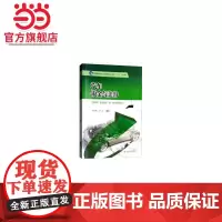 汽车钣金与美容