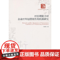 IT治理能力对企业IT外包绩效作用机制研究