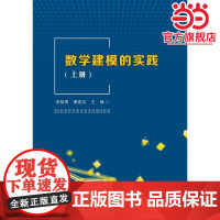 数学建模的实践(上册)