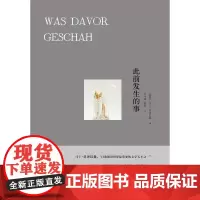此前发生的事 马丁·莫泽巴赫 译林出版社 正版书籍