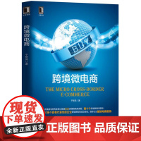 跨境微电商