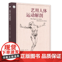 艺用人体运动解剖