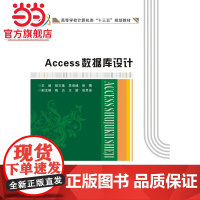 Access数据库设计