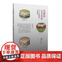 [缺货,勿拍]美丽的七宝世界:从入门到精通的七宝课堂