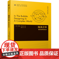 设计理论研究系列 19 - 泡沫之中 : 复杂世界的设计 约翰·萨卡拉著