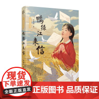 鸭绿江来信 野蔷薇成长系列 独特视角回望动荡岁月 爱国主义教育读本