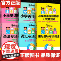 迪士尼小学英语国际音标发音规则小学英语语法词汇专项训练分类练习华东理工大学出版社国际音标教程零基础入门书籍
