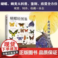 蝴蝶轻图鉴 179种蝴蝶与60种蛾类的特征图鉴图解珍藏