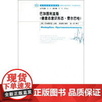 加图利亚版德意志意识形态费尔巴哈/德意志意识形态与文献学系列/当代学术棱镜译丛