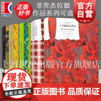 夜色温柔/了不起的盖茨比/漂亮冤家 菲茨杰拉德作品集系列译文名著精选/文艺出版社企鹅经典丛书外国小说另著人间天堂