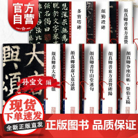 颜真卿书东方画赞 彩色放大本中国著名碑帖书法毛笔字临摹篆刻字帖孙宝文编上海辞书出版社多宝塔碑颜勤礼碑郭虚己墓志铭