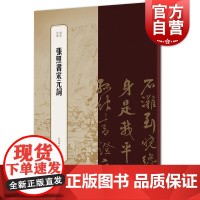 张照书宋元词 书苑拾遗书法精品补遗 行书字帖 篆刻书法碑帖毛笔字字帖临摹观赏佳本 上海辞书出版社