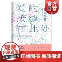爱的接缝在此处 最果夕日 日本文学 另著/夜空总有最大密度的蓝色/17岁 成为星或兽的季节 日本小说 上海人民出版社