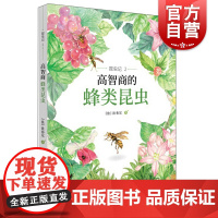 昆虫记2高智商的蜂类昆虫 阅读指导 科普/百科 少年儿童 世纪百科