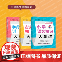 语文知识大集结/古诗文知识大集结/字词句训练大集结 小学语文学霸系列上海远东出版社涵盖小学阶段知识梳理解答学习难点要点