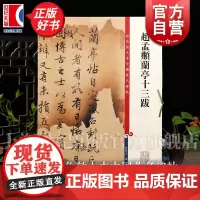 现货正版 赵孟頫兰亭十三跋 彩色放大本中国著名碑帖孙宝文编繁体旁注赵体赵孟俯行书毛笔字帖书法贴墨迹上海辞书出版社篆刻字帖