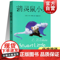 正版 精灵鼠小弟 原版怀特著任溶溶译 经典儿童文学夏洛的网与吹小号的天鹅作者 四五六年级小学生课外读物 上海译文出版