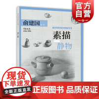素描静物 俞建国 零起点美术技法入门系列 素描基础知识 素描静物技法 美术高考 素描静物蔬果器皿 上海人民美术出版社