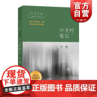 中关村笔记 宁肯文集 当代文坛刺客 中国当代文学 硅谷梦 柳传志 田野调查 中关村人物 互联网 科技 上海文艺出版社