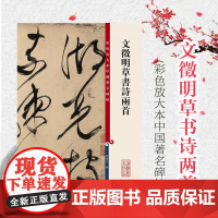 文徵明草书诗两首 孙宝文 彩色放大本中国著名碑帖 书法碑帖 毛笔字帖教材 观历代碑帖 篆刻 正版图书籍 上海辞书出版社