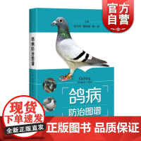 鸽病防治图谱 精装 赵宝华 养鸽参考书 50种鸽常见病 鉴别方法介绍详细 综合防治技术 正版图书籍 上海科学技术出版社