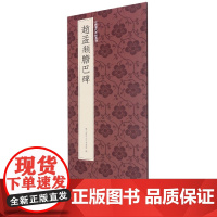 赵孟頫胆巴碑 赵孟頫晚年楷书代表作高清原碑帖+近距离临摹可平摊毛笔书法字帖入门临摹教材范本基础教程 正版中国历代碑帖丛刊