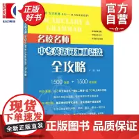 名校名师中考英语语音词汇和语法全攻略 专项辅导真题系列上海教育出版社 初中英语总复习词汇语法刷题初一初二初三年级中考冲刺