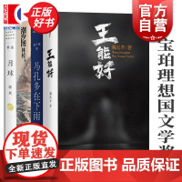 王能好/潮汐图/月球/马孔多在下雨/时运 宝珀理想国文学奖作品上海文艺出版社中国当代文学小说林棹魏思孝周于旸郭爽魏思孝著