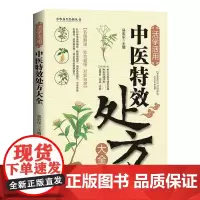 中医特效处方大全正版 活学活用中医特效处方大全 吴宏东天津科学技术出版社中医特效处方大全正版